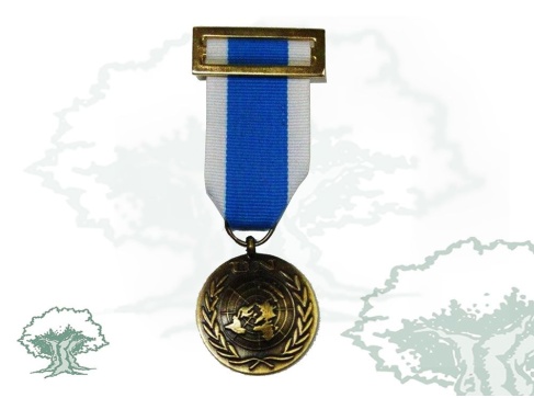 Medalla ONU Servicios Especiales