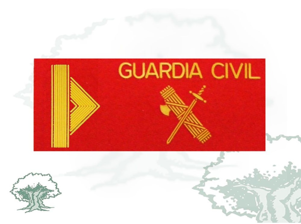 Galleta Guardia 1º Guardia Civil fieltro grande