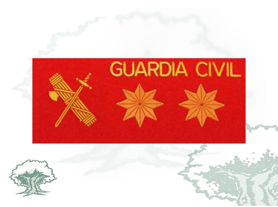Galleta Teniente Coronel Guardia Civil fieltro grande