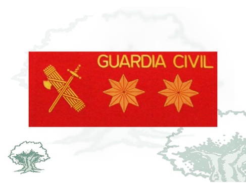 Galleta Teniente Coronel Guardia Civil fieltro grande