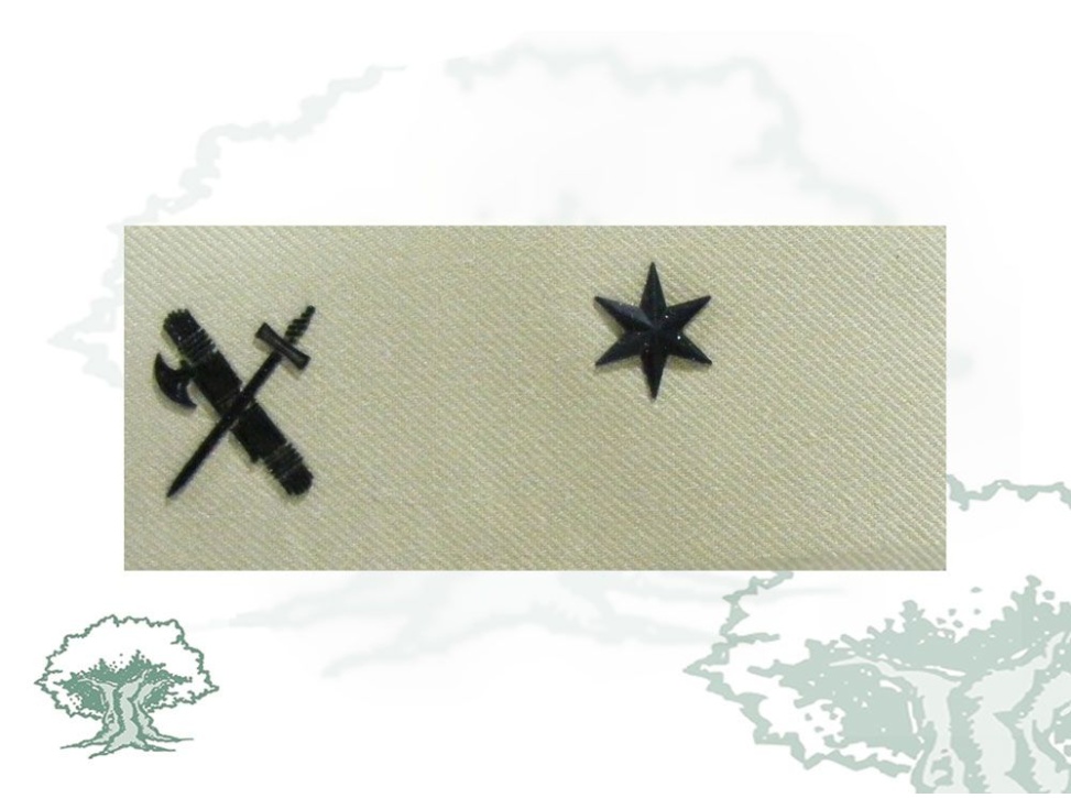 Galleta Alferez Misiones Internacionales Guardia Civil