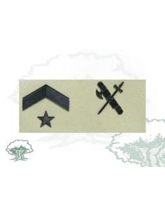 Galleta Subteniente Misiones Internacionales Guardia Civil