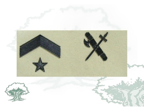 Galleta Subteniente Misiones Internacionales de la Guardia Civil