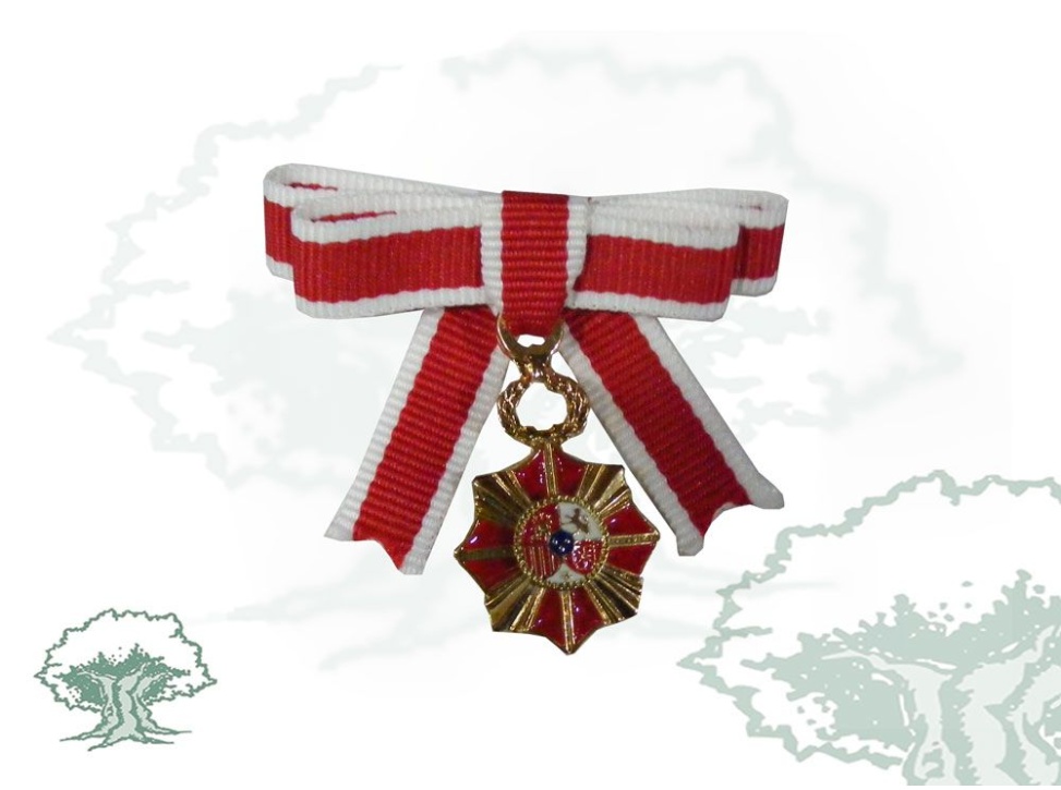 Insignia R.O. Reconocimiento Civil Víctimas Terrorismo lazo miniatura