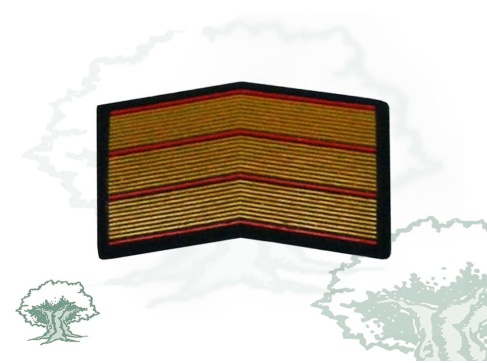 Ángulo de consideración Suboficial en PVC Ángulo de consideración Suboficial en PVC