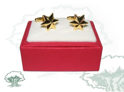 Gemelos estrellas de 6 puntas