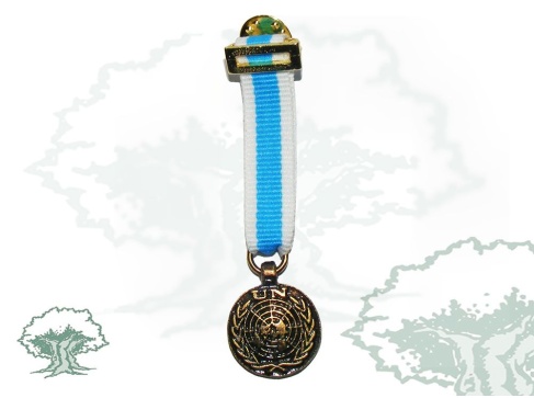 Medalla ONU (Servicios Especiales) miniatura
