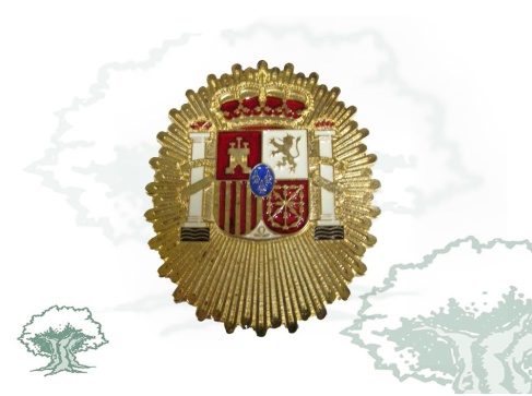 Chapa Policía Local dorada