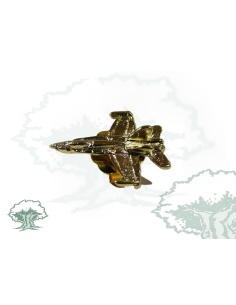 Pin Ejército del Aire avión de combate