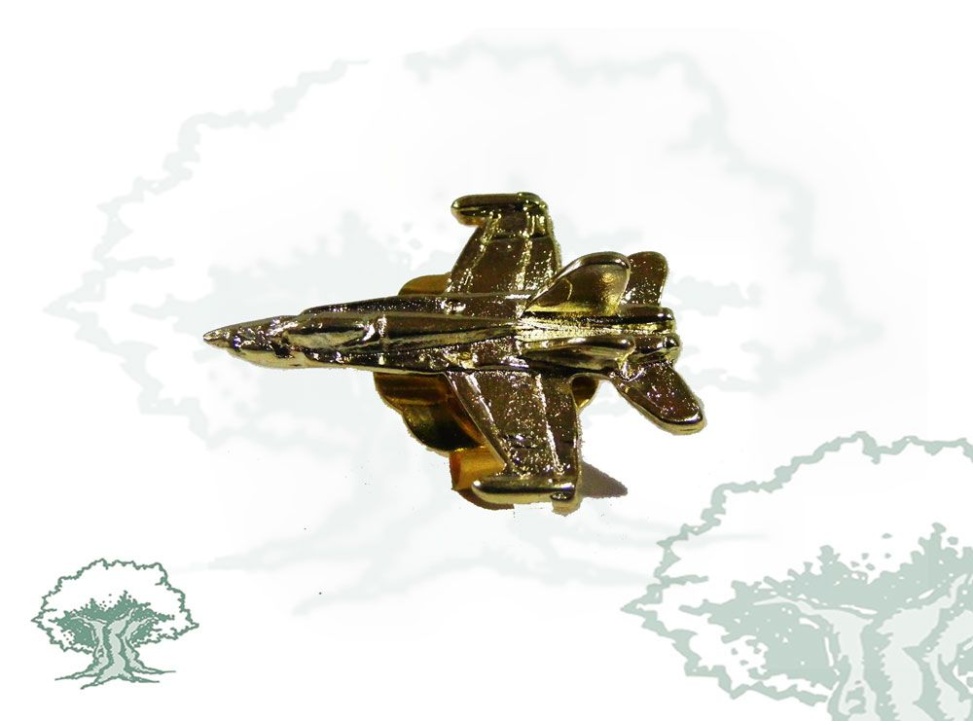 Pin Ejército del Aire avión de combate