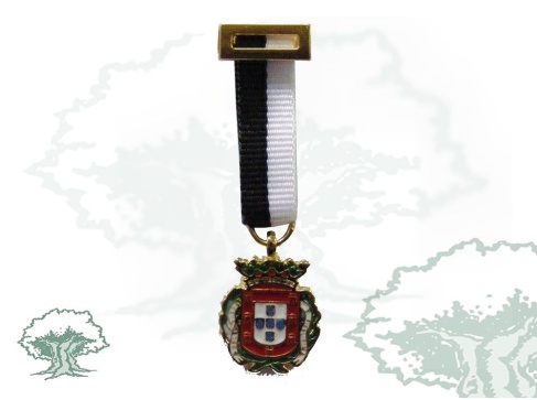 Medalla Ciudad de Ceuta miniatura