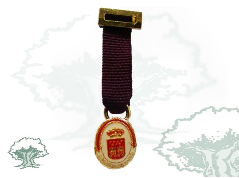 Medalla Comunidad de Madrid miniatura