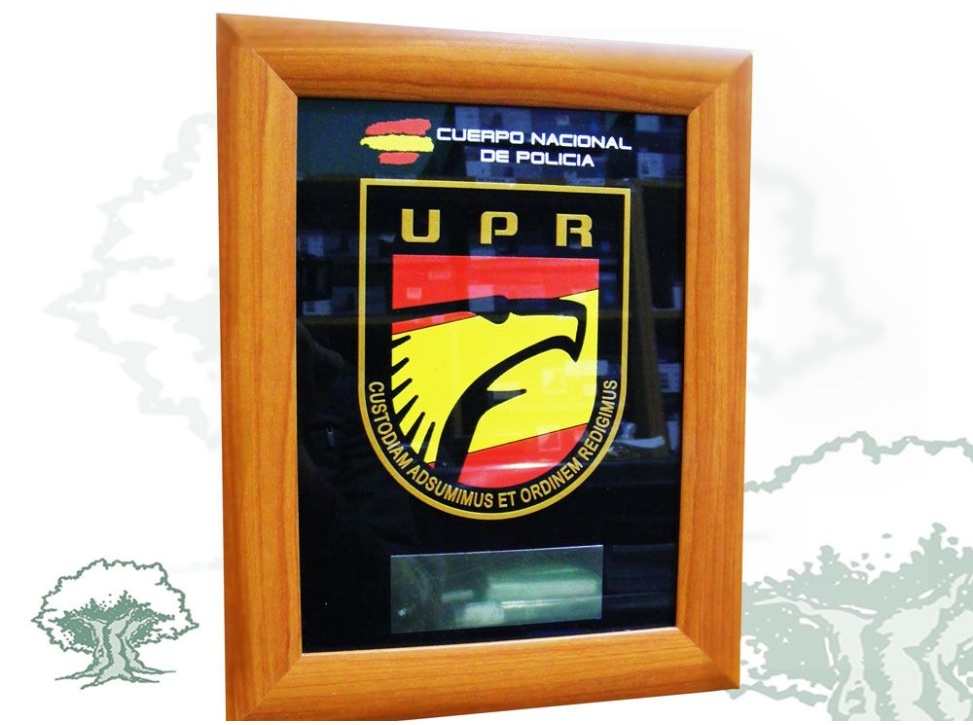 Cuadro UPR Policía Nacional
