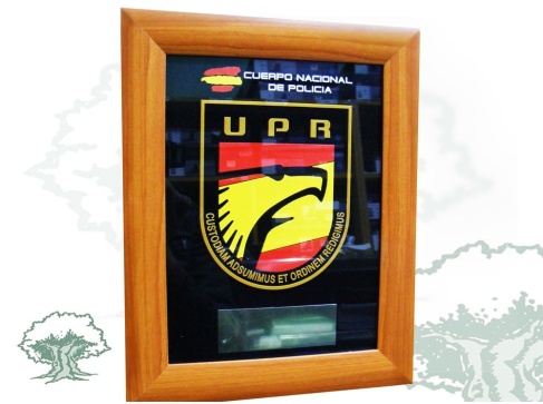 Cuadro UPR de la Policía Nacional