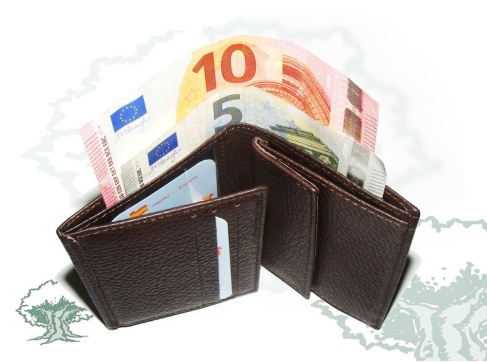 Cartera monedero marrón con chapa