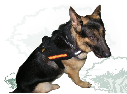 Arnés perro Guardia Civil con bandera de España