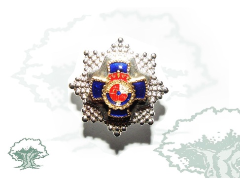 Pin Placa a la Dedicación Policial