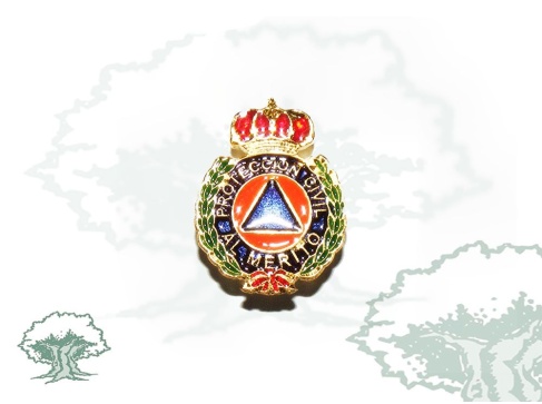 Pin Protección Civil dorado
