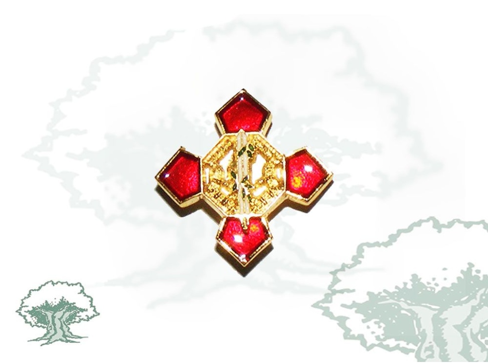 Pin Orden Mérito Policial distintivo rojo