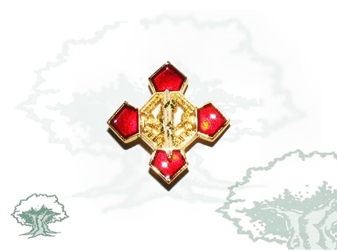 Pin Orden del Mérito Policial distintivo rojo