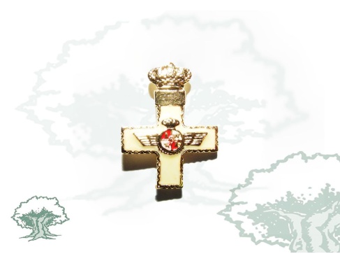 Pin Mérito Aeronáutico distintivo blanco