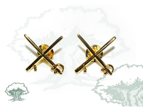 Divisas General Ejército