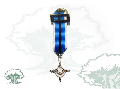 Medalla Sahara miniatura