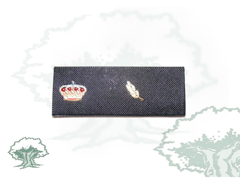 Tira de rango Prácticas Policía Nacional