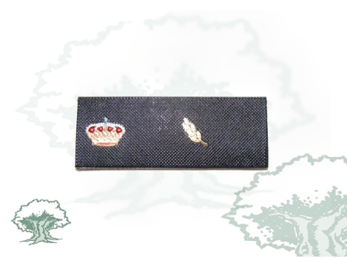 Tira de rango Prácticas Policía Nacional