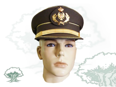 Gorra de plato Oficial del Ejército